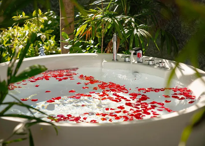 Willa Amara Private Pool